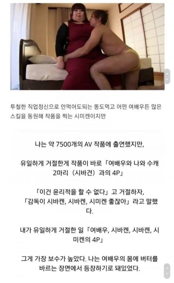 시미켄이 거절한 작품