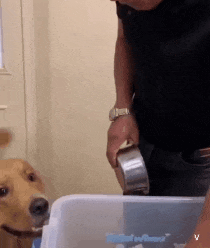 임오군란이 일어난 이유