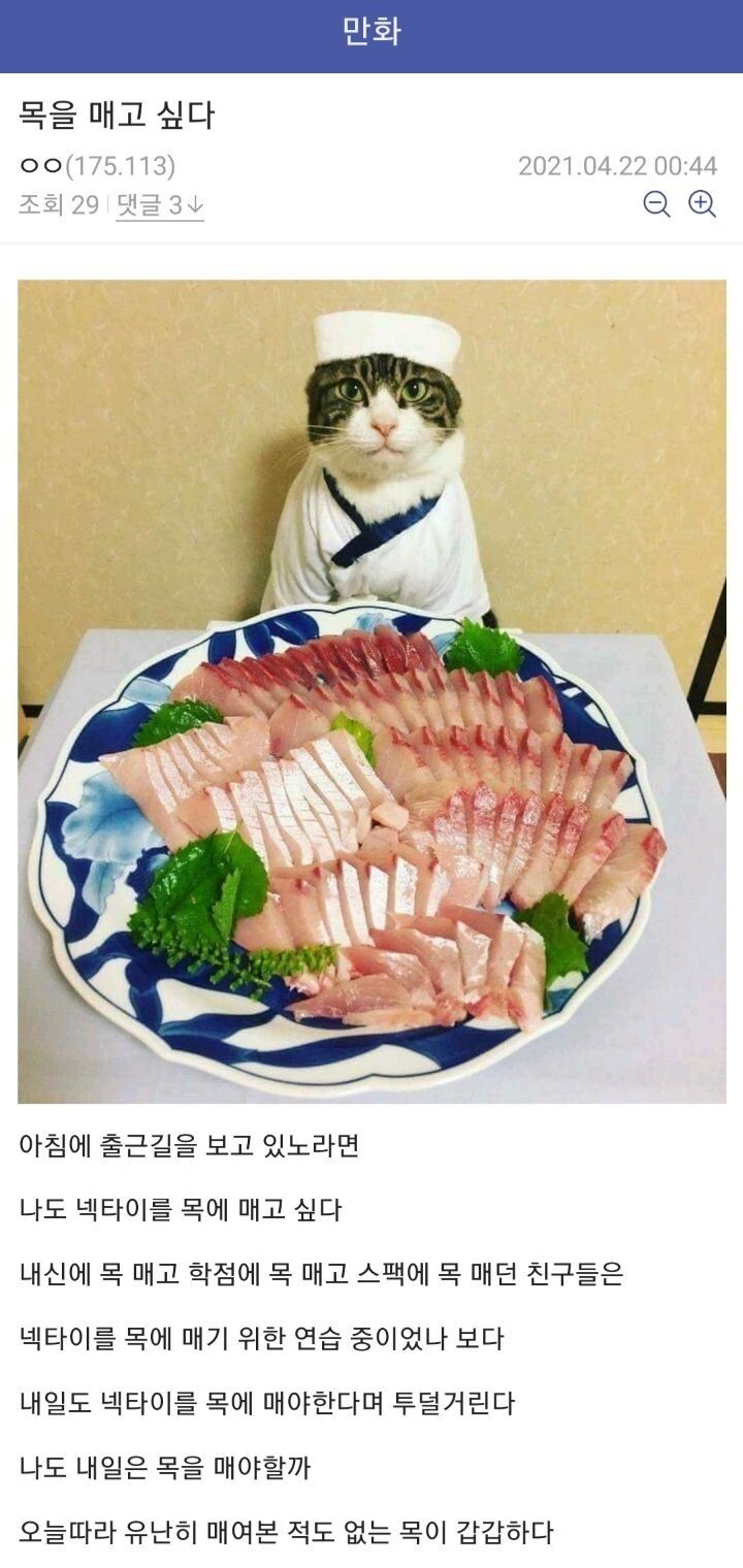 디시 만갤 윤동주