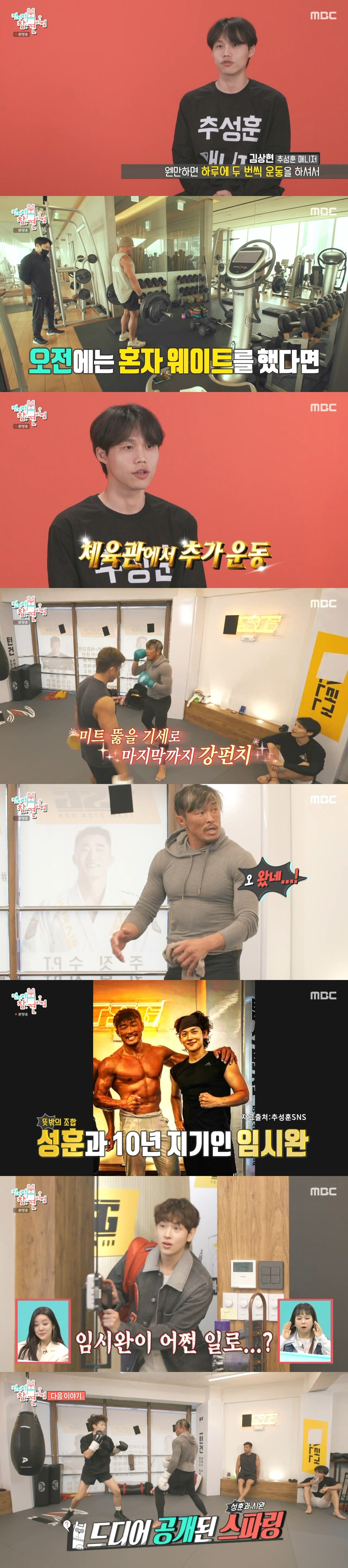 하루하루가 즐겁다는 요즘 추성훈 근황