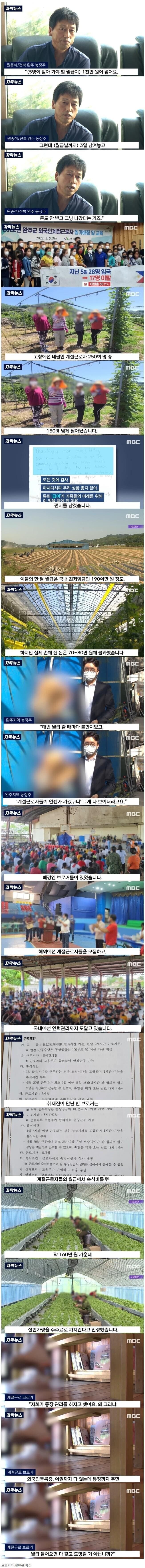 월급이 적다고 도망치는 외노자들