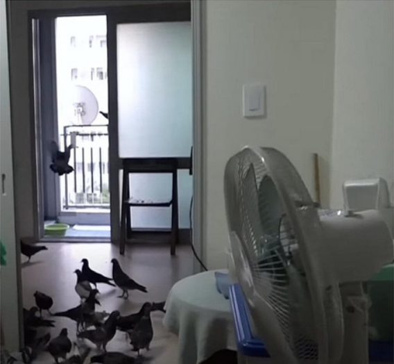 문단속 소홀한 결과