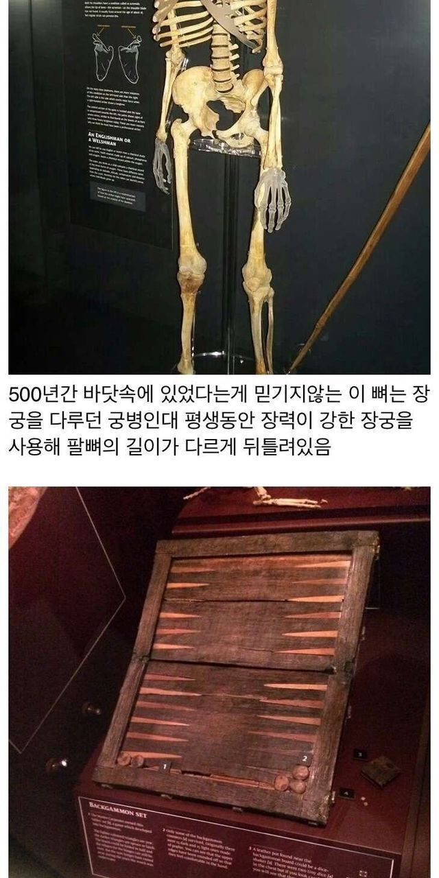 500년만에 발견된 영국 배