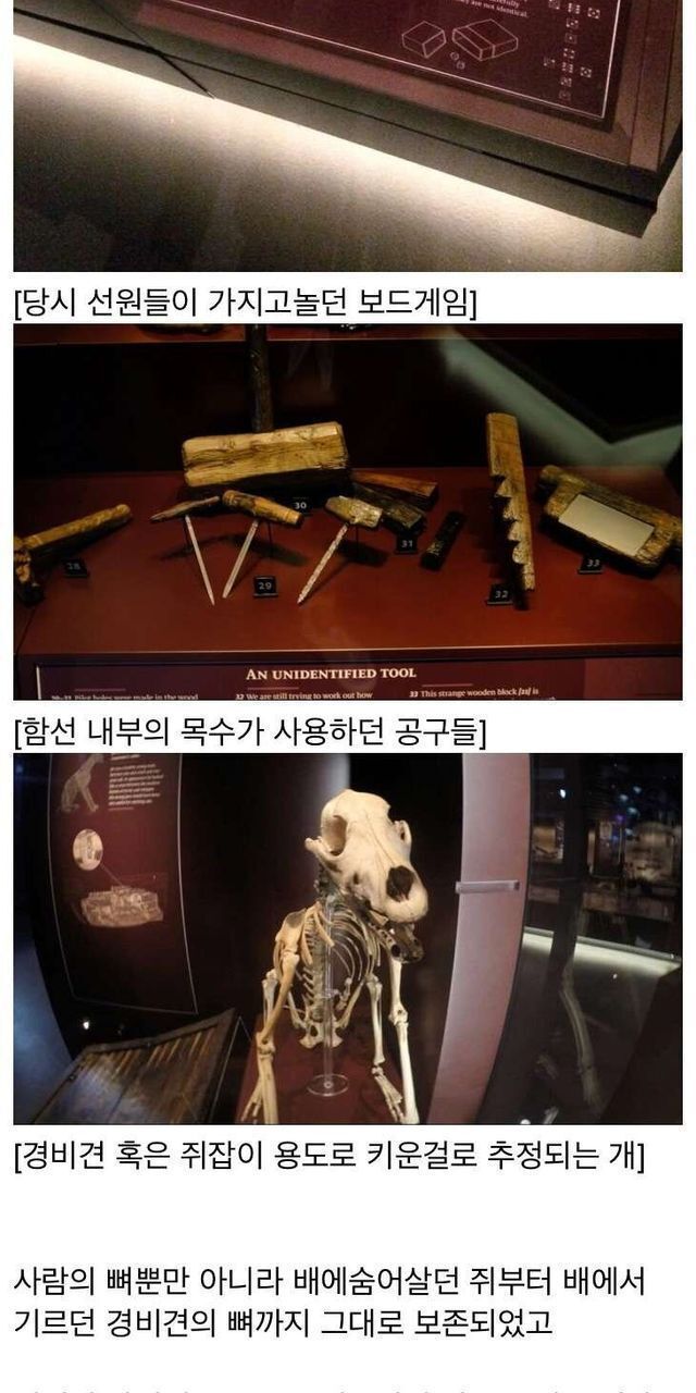 500년만에 발견된 영국 배