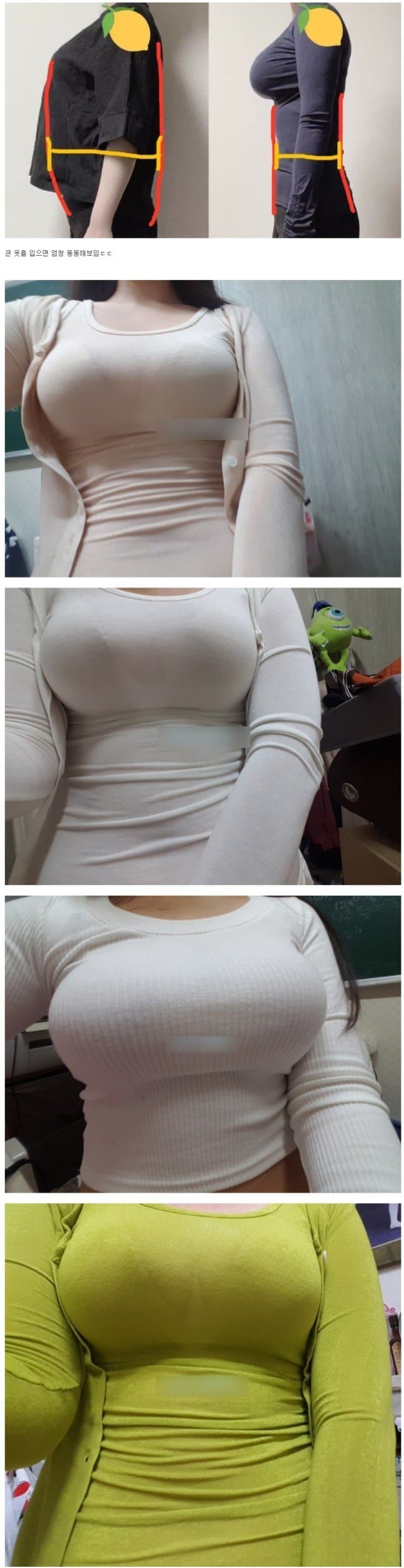 가슴큰 여자들이 크롭티 안입는 이유.jpg