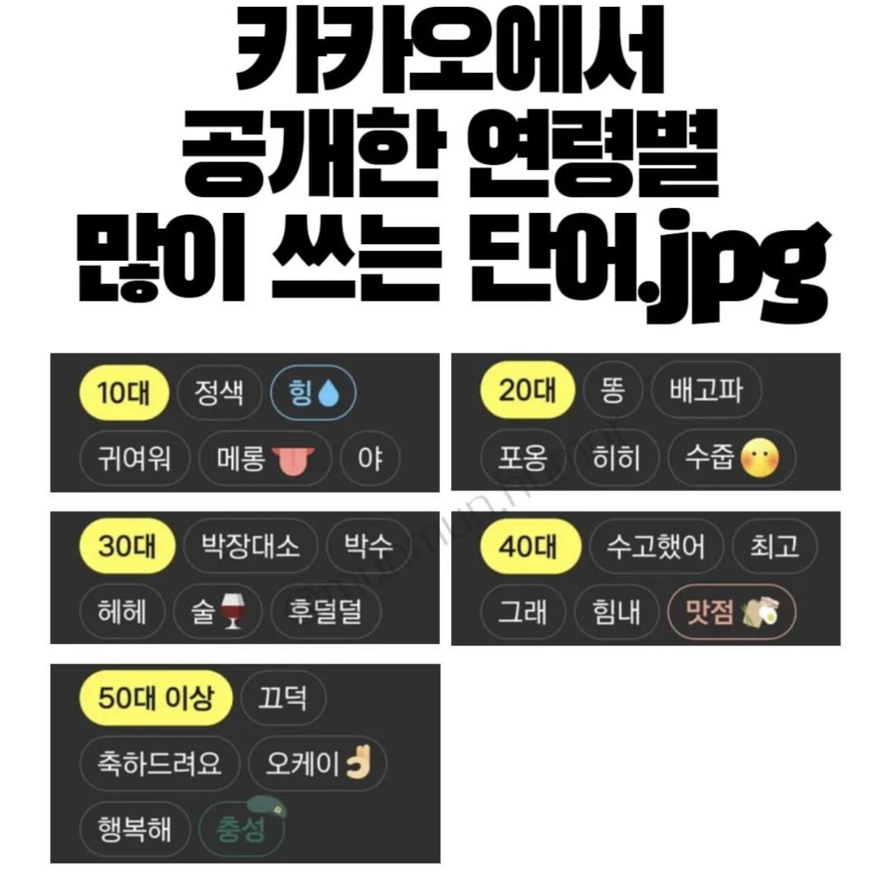 카카오에서 공개한 연령별 많이 쓰는 단어