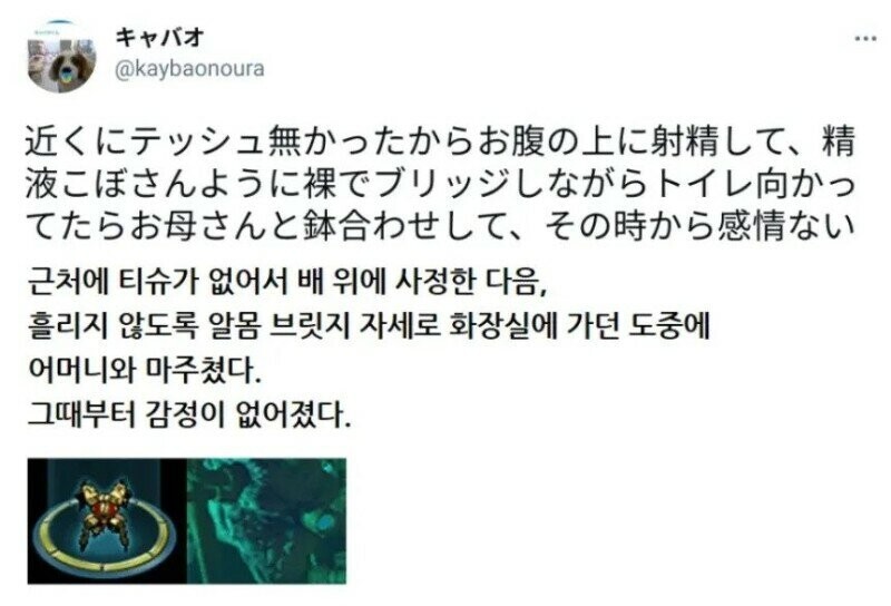 감정이 죽어버렸다는 일본인