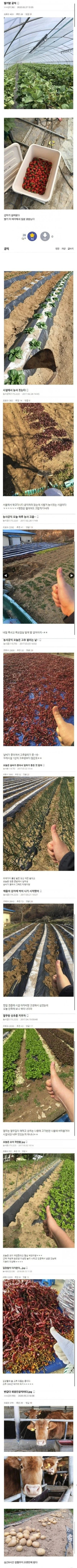 전설의 농사 공익.jpg