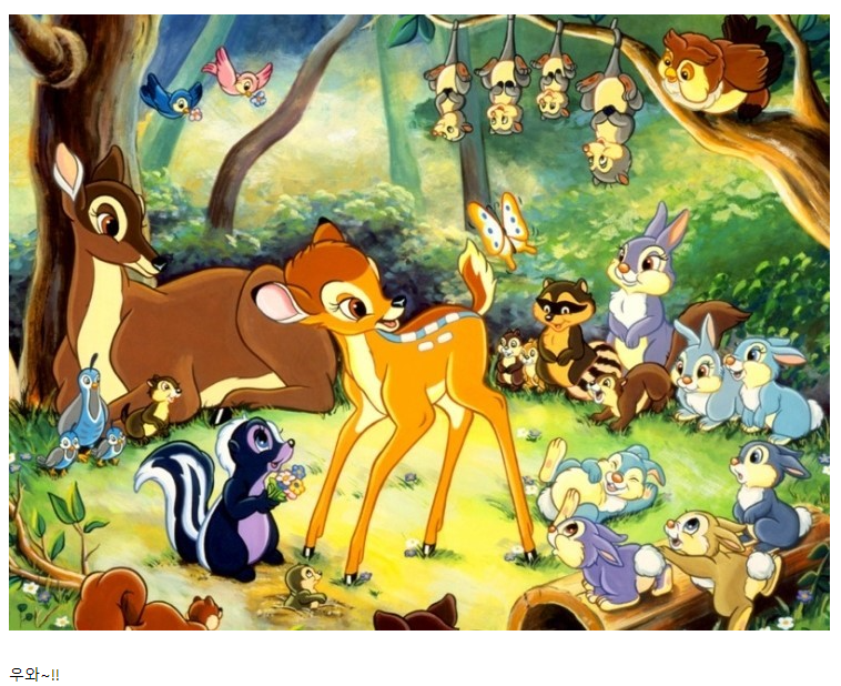 이게 보지라는거야