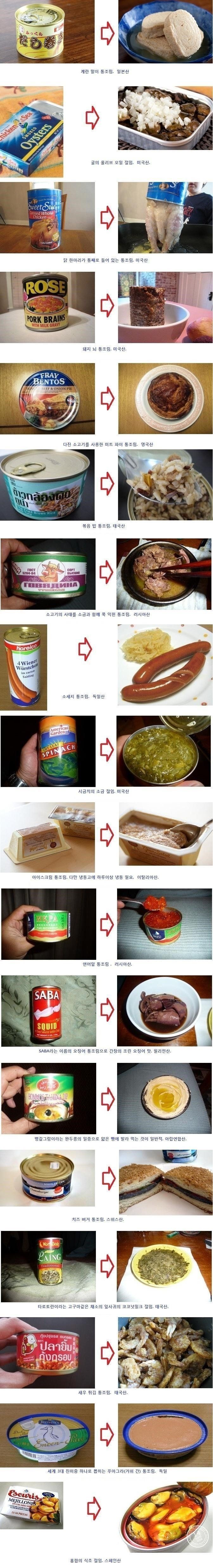 세계 각국의 통조림 종류