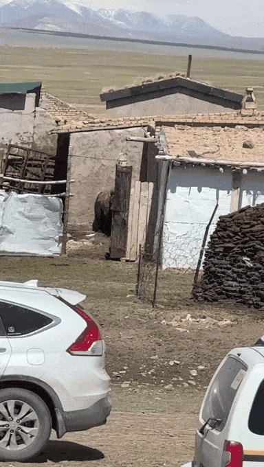 성인 남성 5명이 죽기살기로 도망간 이유