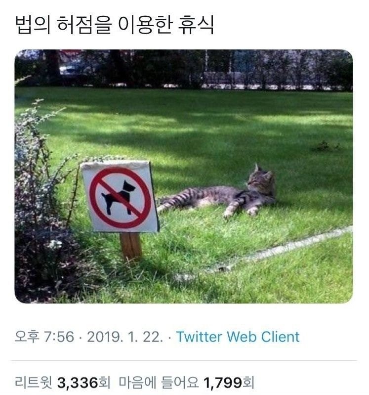 법의 허점을 악용하는 양아치