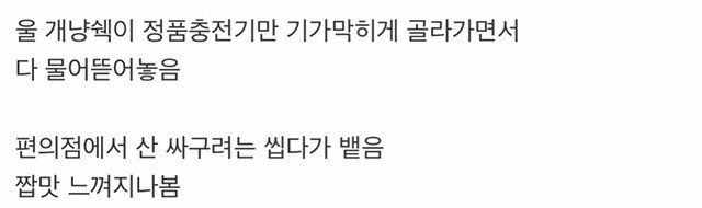 애플 정품 구별 방법