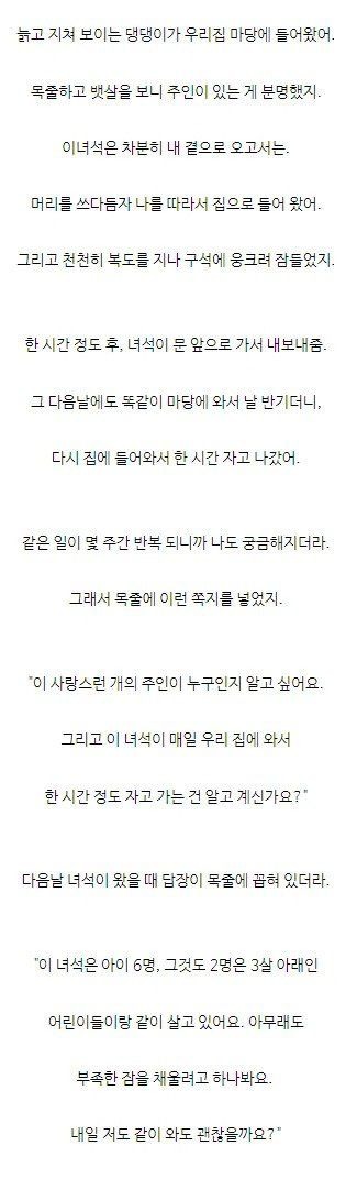 모르는 개가 자꾸 우리집에서 자고 간다.jpg