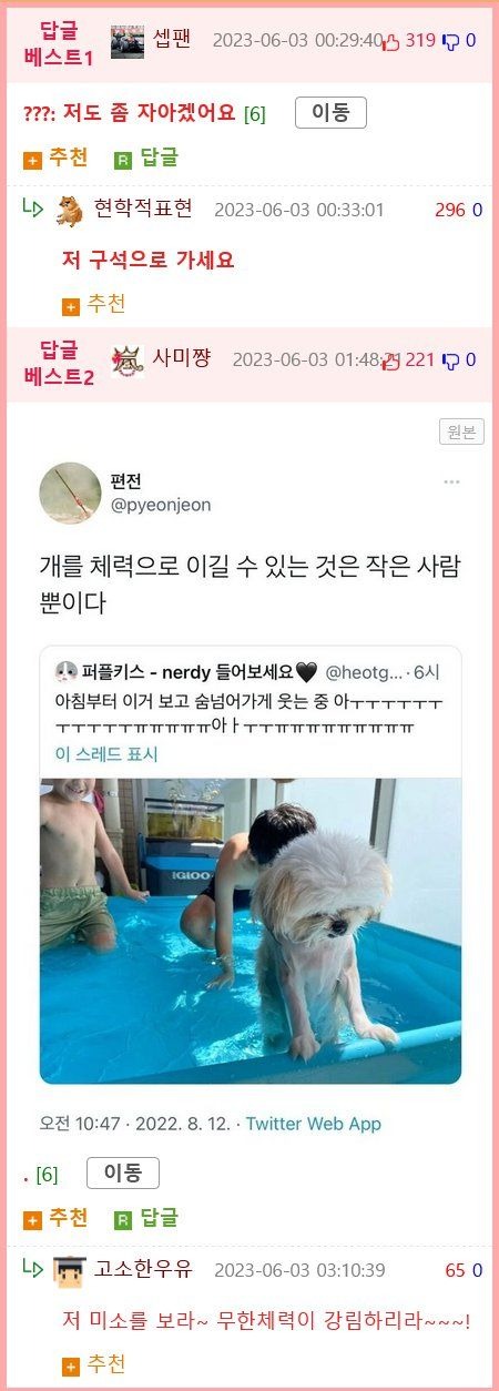 모르는 개가 자꾸 우리집에서 자고 간다.jpg
