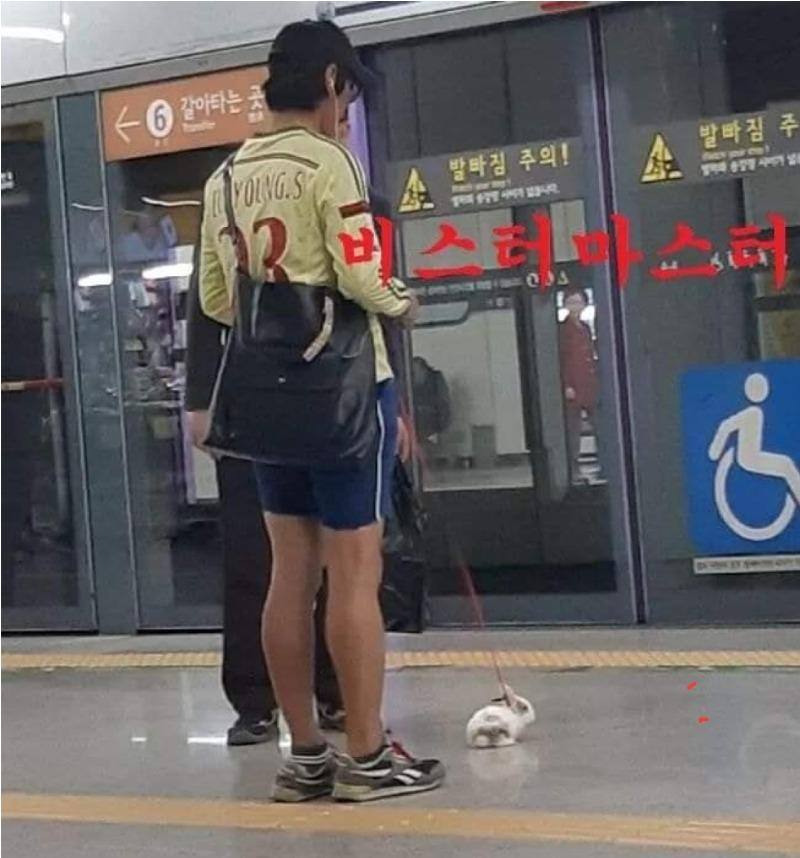 지하철 빌런 도감