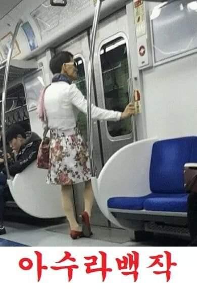 지하철 빌런 도감