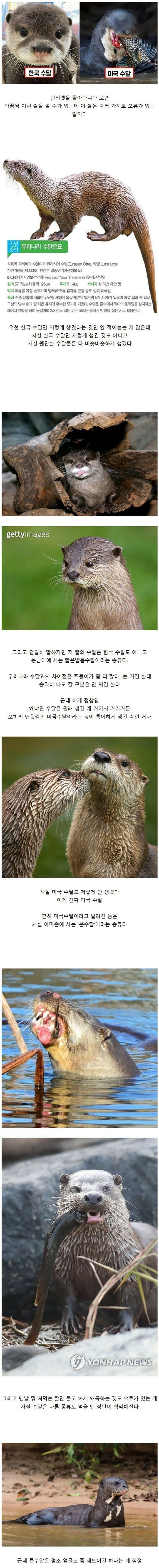 밥먹을때마다 악마가 들어가는 여자