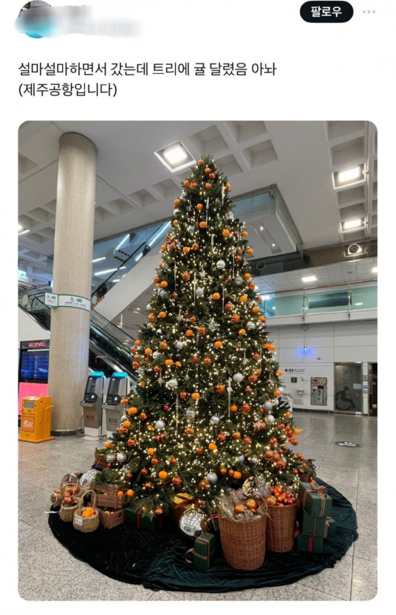 제주공항 크리스마스 근황