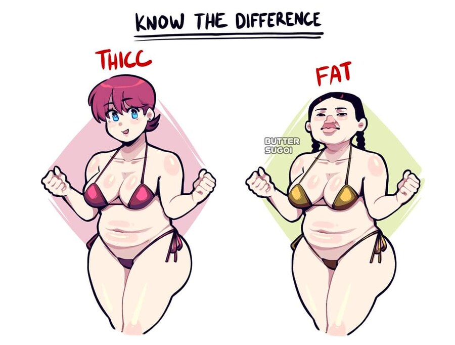 육덕 과 뚱뚱함 의 차이.jpg
