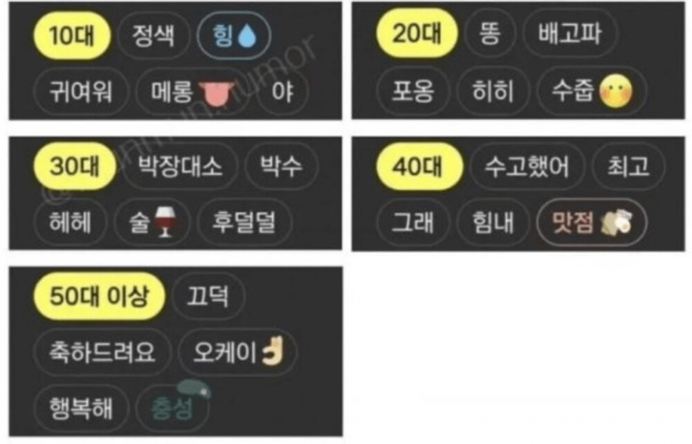 카카오에서 공개한 나이별 많이 쓰는 단어