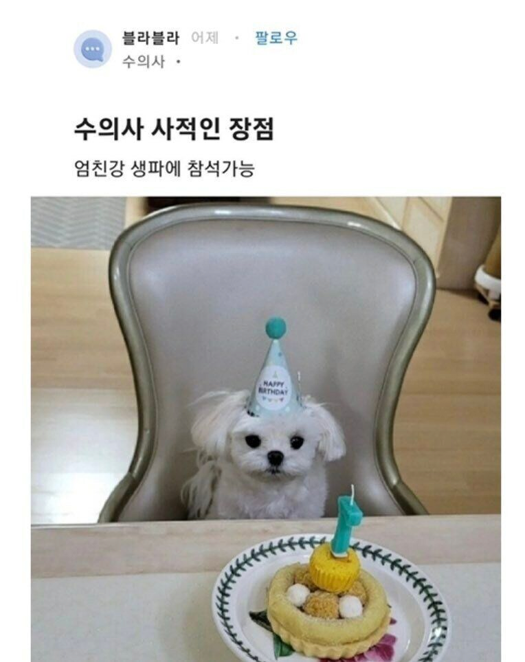 수의사 사적인 장점