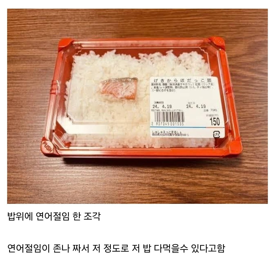 호불호 연어 도시락