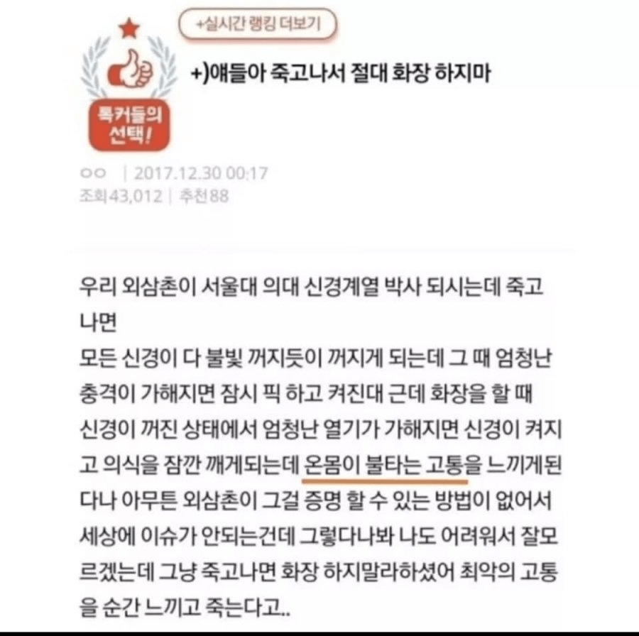 얘들아 죽고나서 절대 화장 하지마