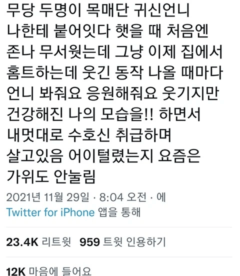 귀신 붙었을 때 원영적 사고