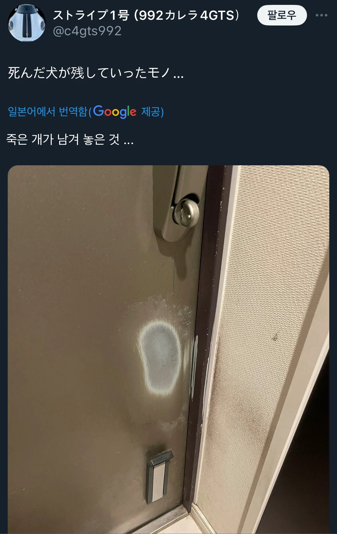 죽은개가 남겨 놓은것