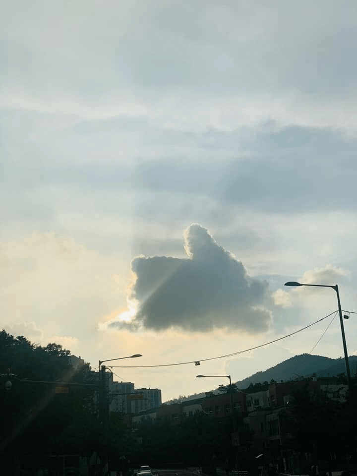 저녁 하늘에 뜬 따봉 구름