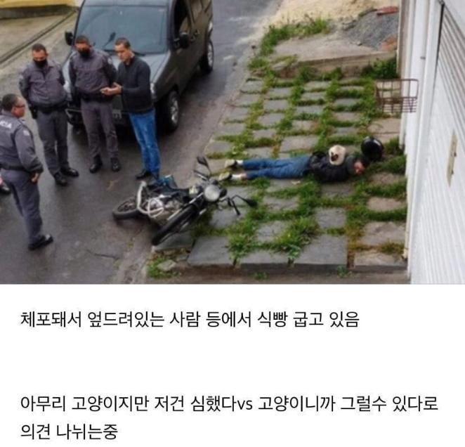 현재 해외에서 논란 중인 사진