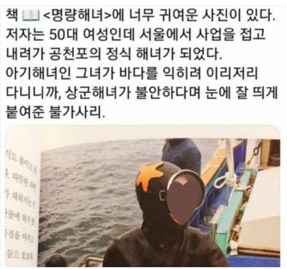 신입해녀의 불가사리