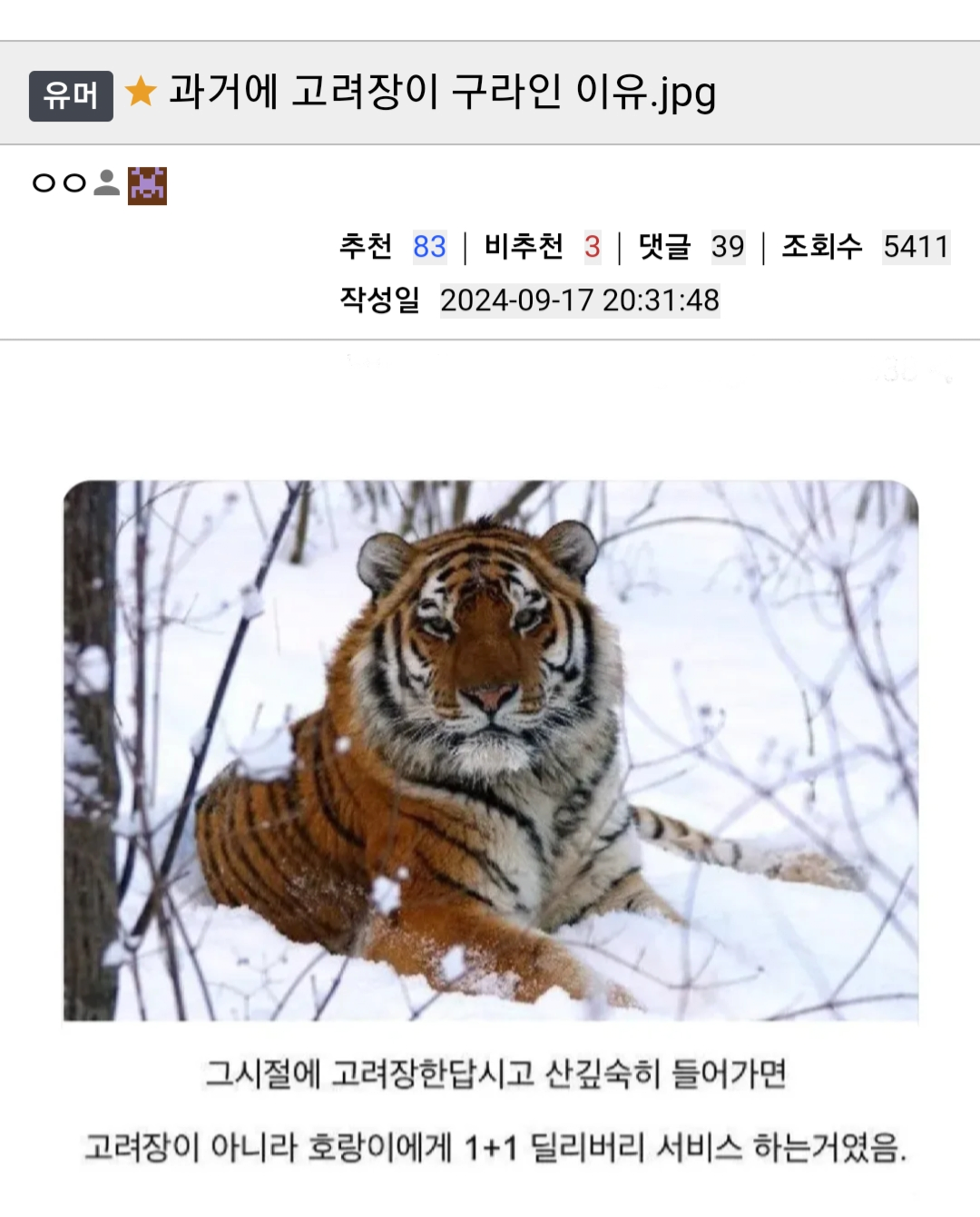 과거 고려장 문화가 구라인 이유