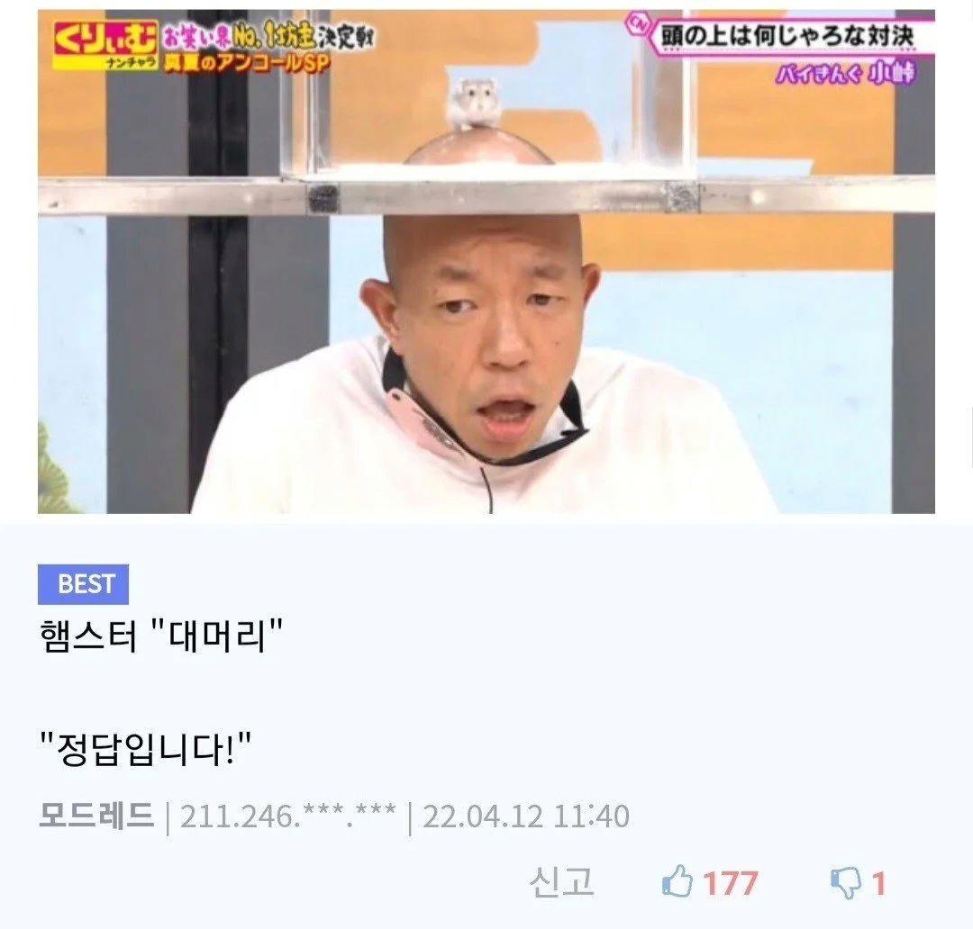 촉감만으로 무엇인지 맞추기