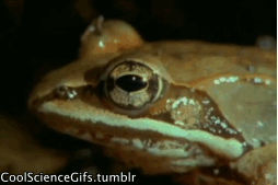 []