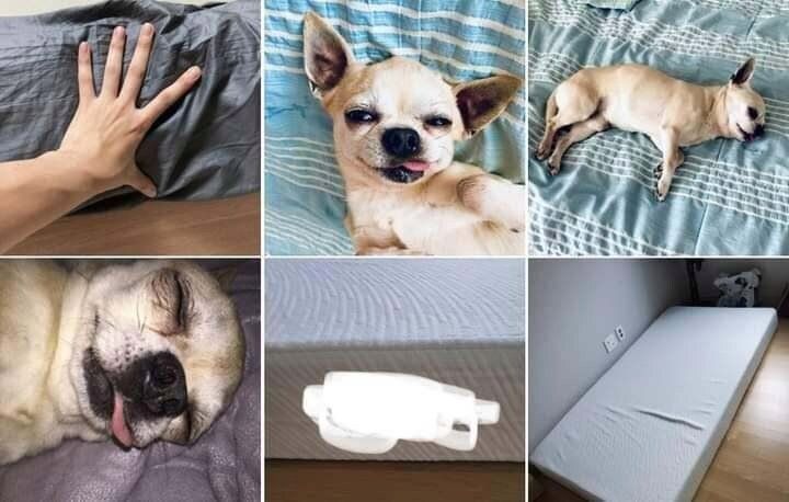 []