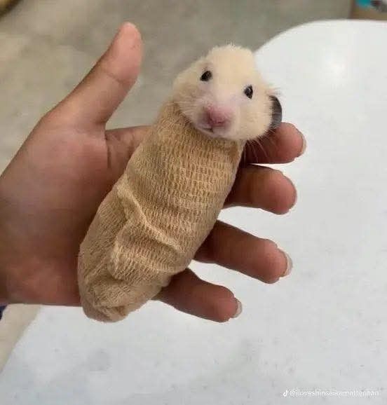[]