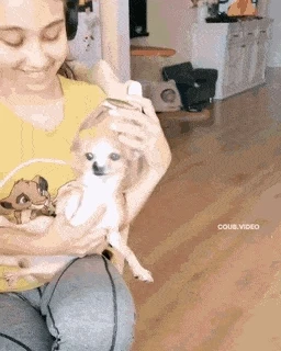 []