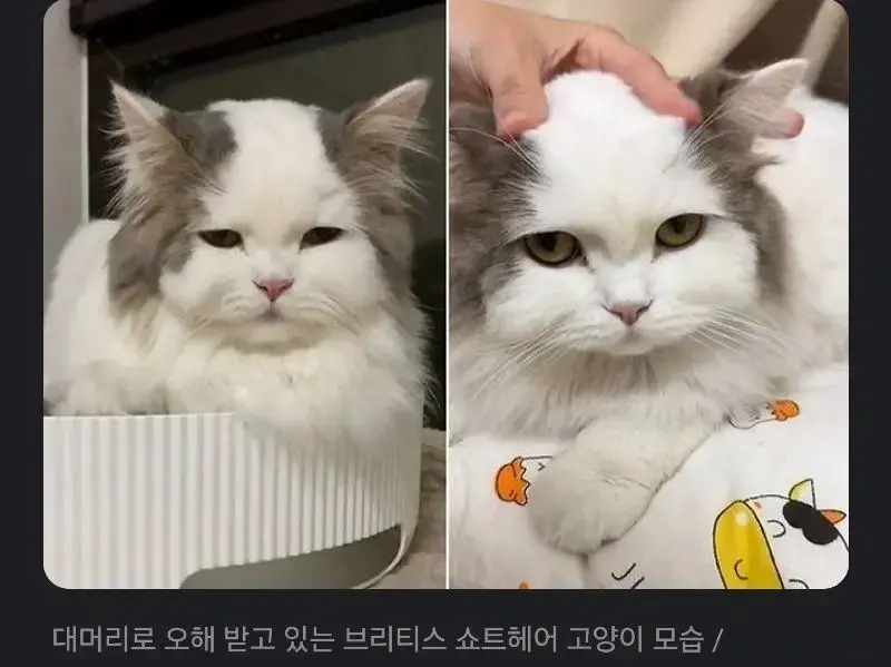 []
