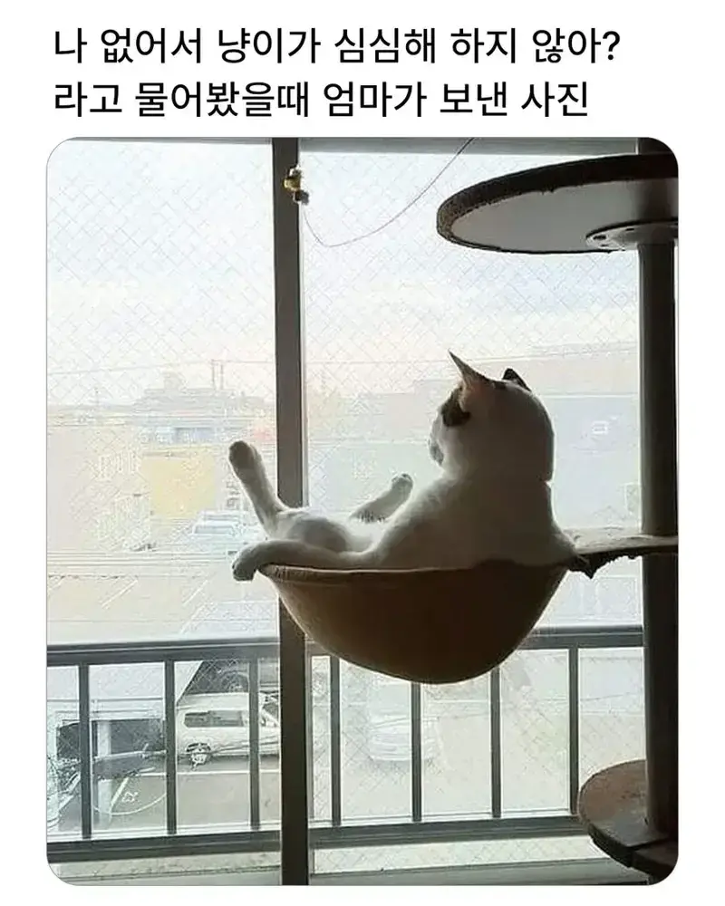 []