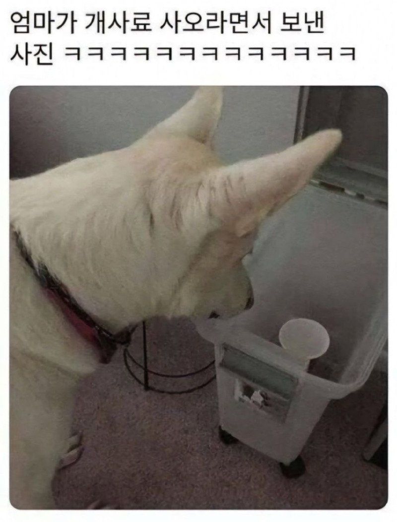 []