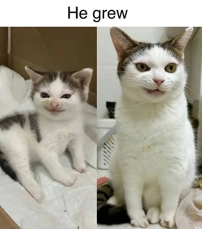 []