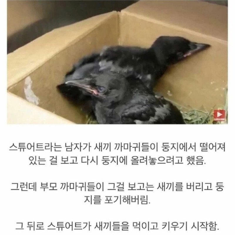 []