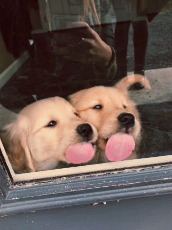 []