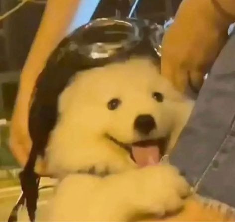 []