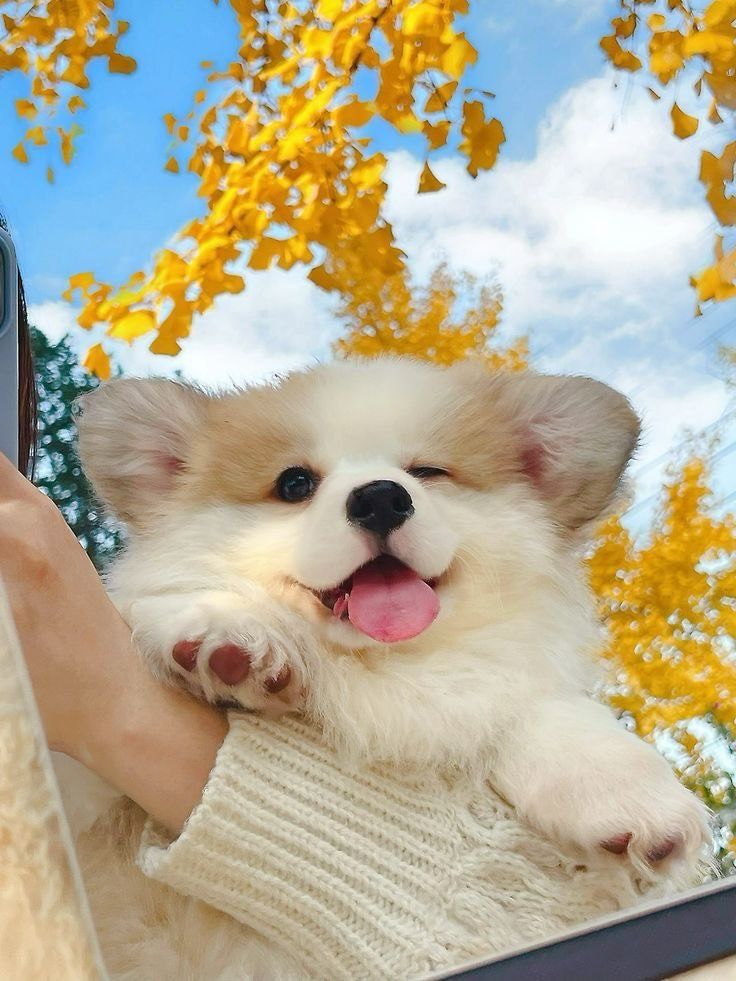 []