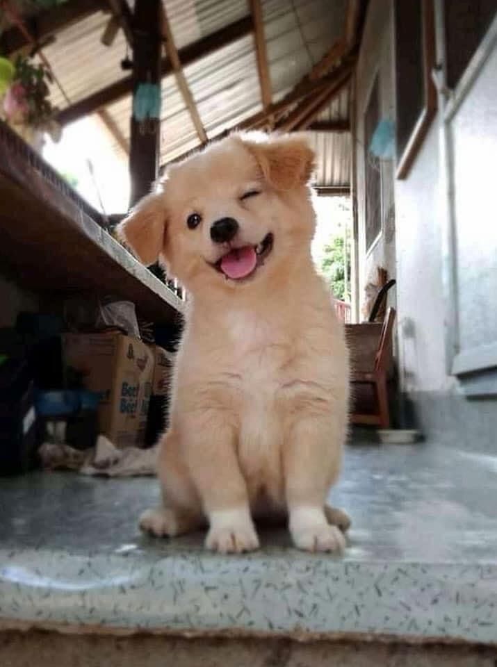 []