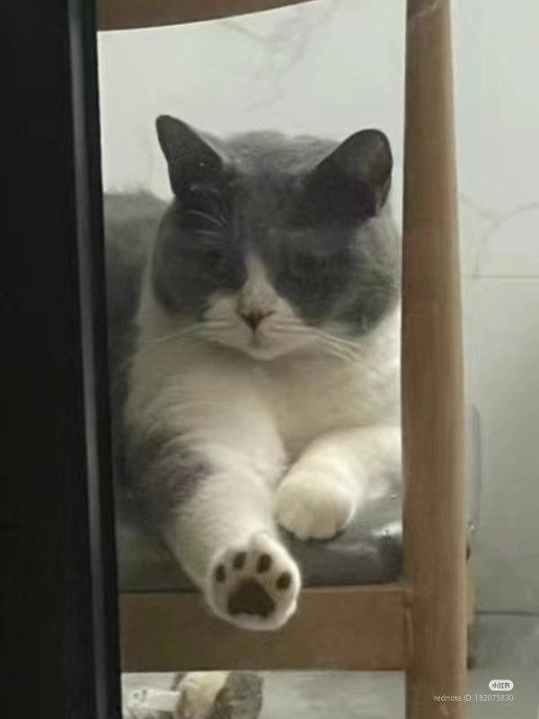 []