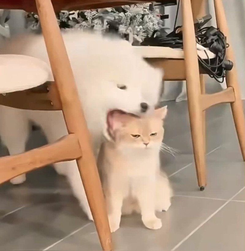 []
